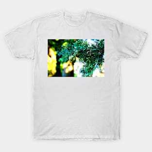 Cypress branch with green cones T-Shirt